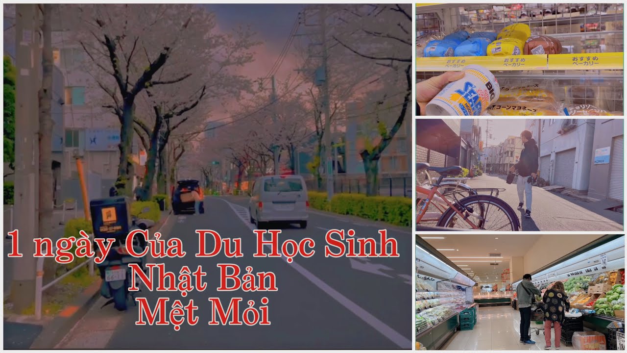46 | 1 ngày làm việc của du học sinh nhật bản | cuộc sống nhật bản