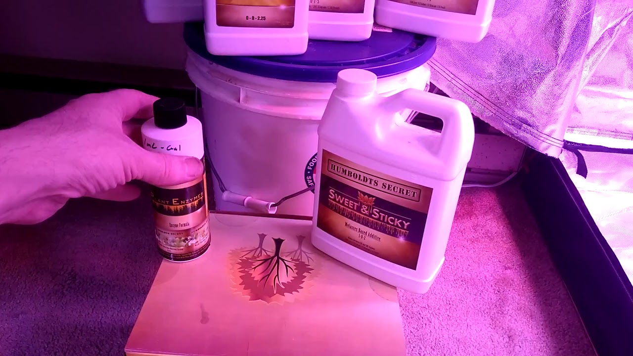 Humbolts Secret Nutrients Trial run! Day 1 3x4 Purple Bubba Chunk!