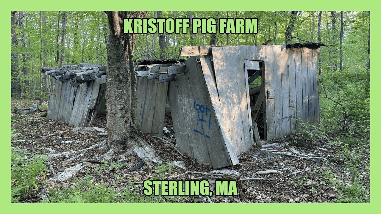 Exploring the ABANDONED Kristoff Pig Farm (Sterling, MA)