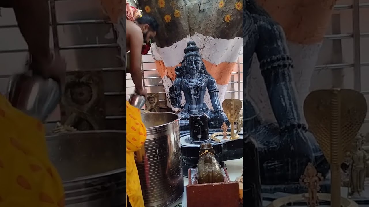 Maha Shivaratri | Sri Naga Lingeshwara Swamy Pradhosa Puja Live | Please Subscribe #shiva #mahadev🕉✨