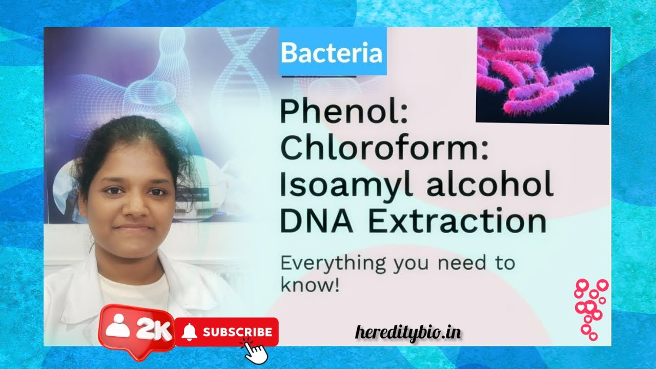 Выделение бактериальной ДНК методом фенол-хлороформа ।Heredity Biosciences
