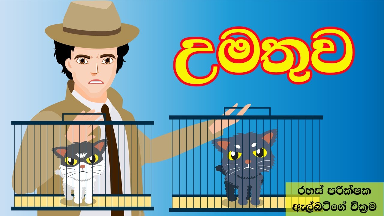 උමතුව | The Insanity