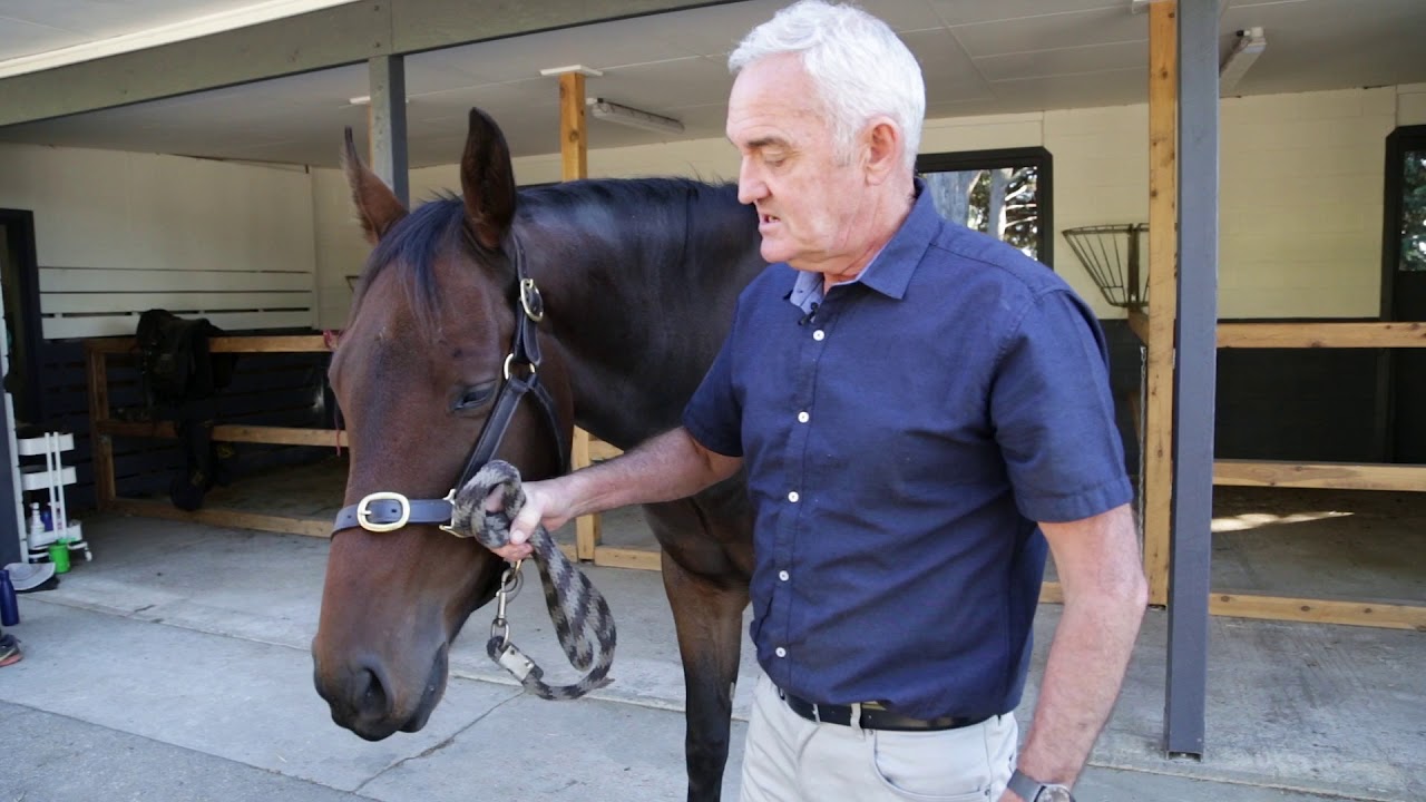 Worming Techniques For Horses | Equitation Science International