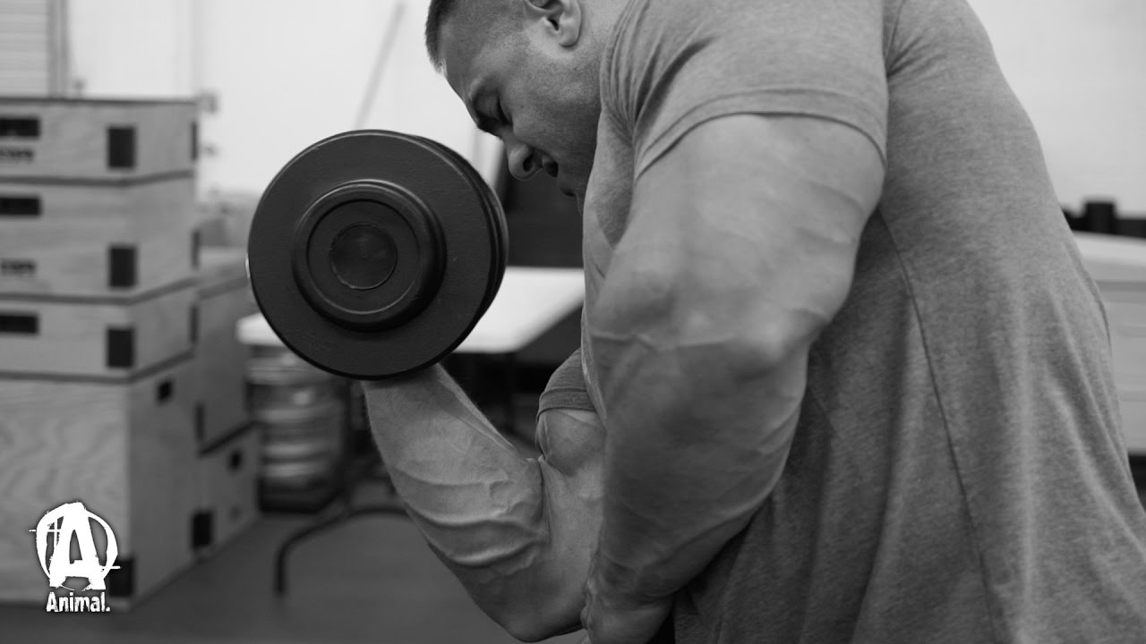 Olympia GUNS and DELTS With Evan Centopani