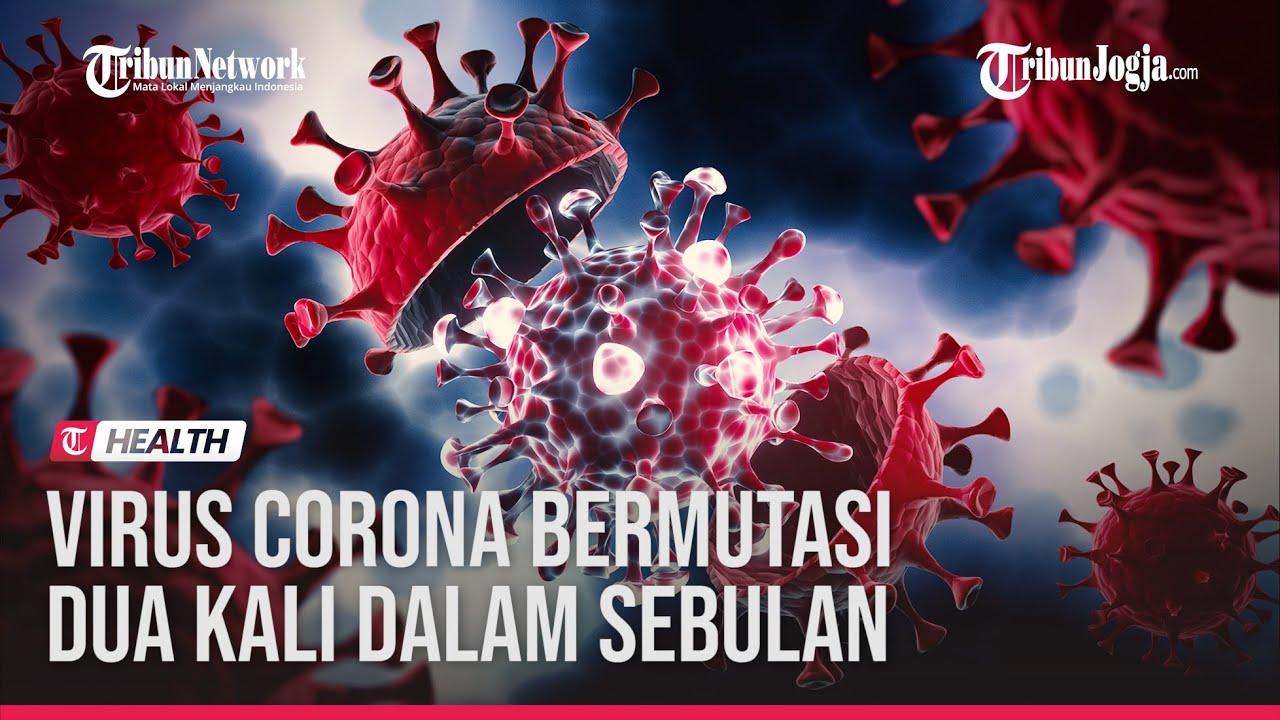 STUDI BARU UNGKAP, VIRUS CORONA BERMUTASI DUA KALI DALAM SEBULAN