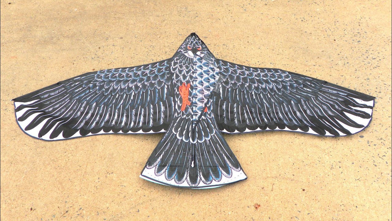 Cheap 1.8M Flat Eagle Kite RC Conversion Details
