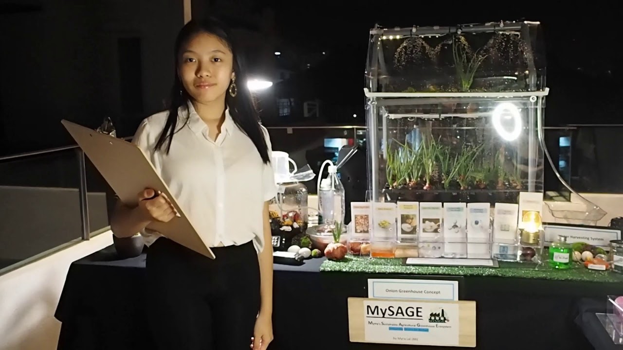 MS Science Fair 2020: Myra Rosman Lai (8B)
