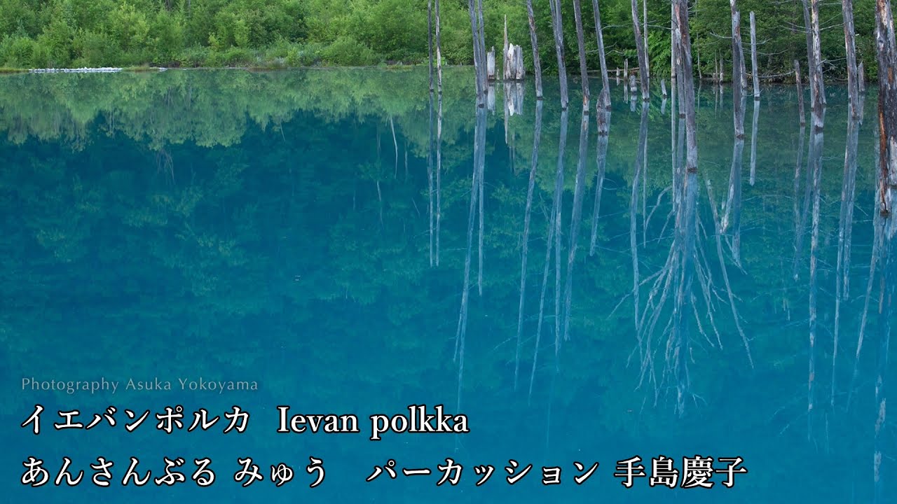 Ievan Polkka 　（Finland trd）イエバンポルカ　フィンランド伝統曲