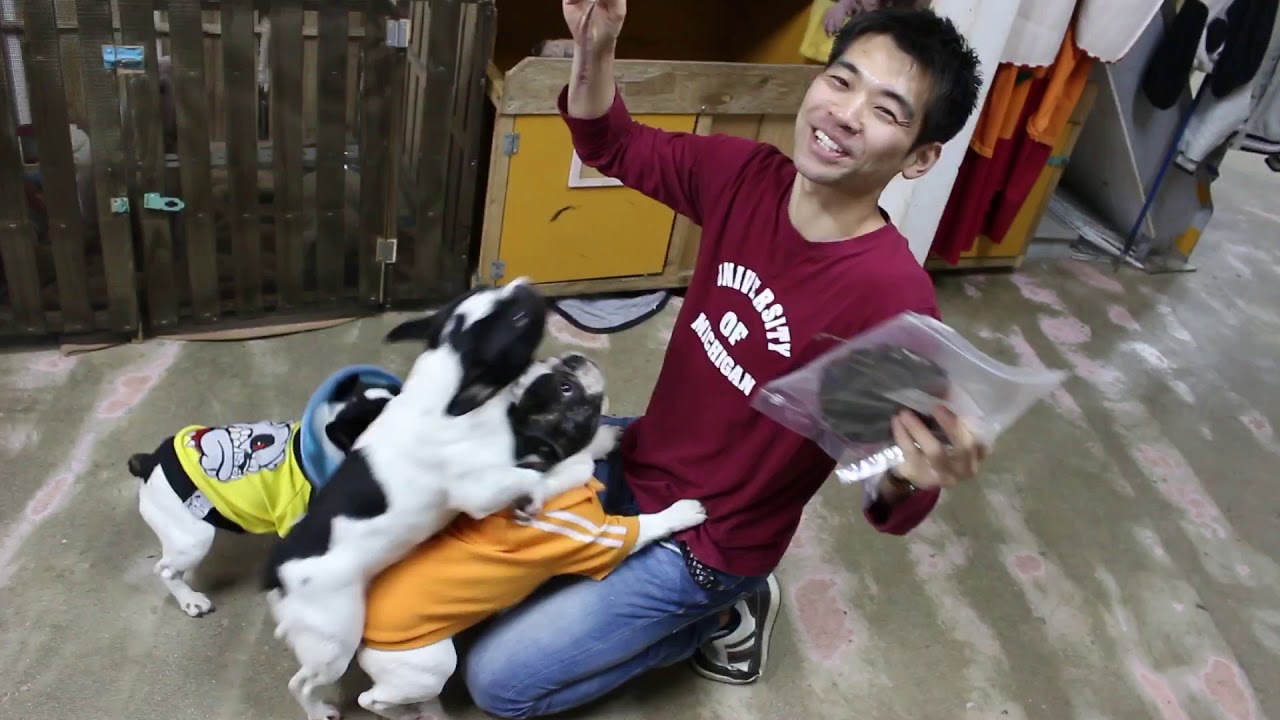 おやつおじさんから鹿肉貰う♪