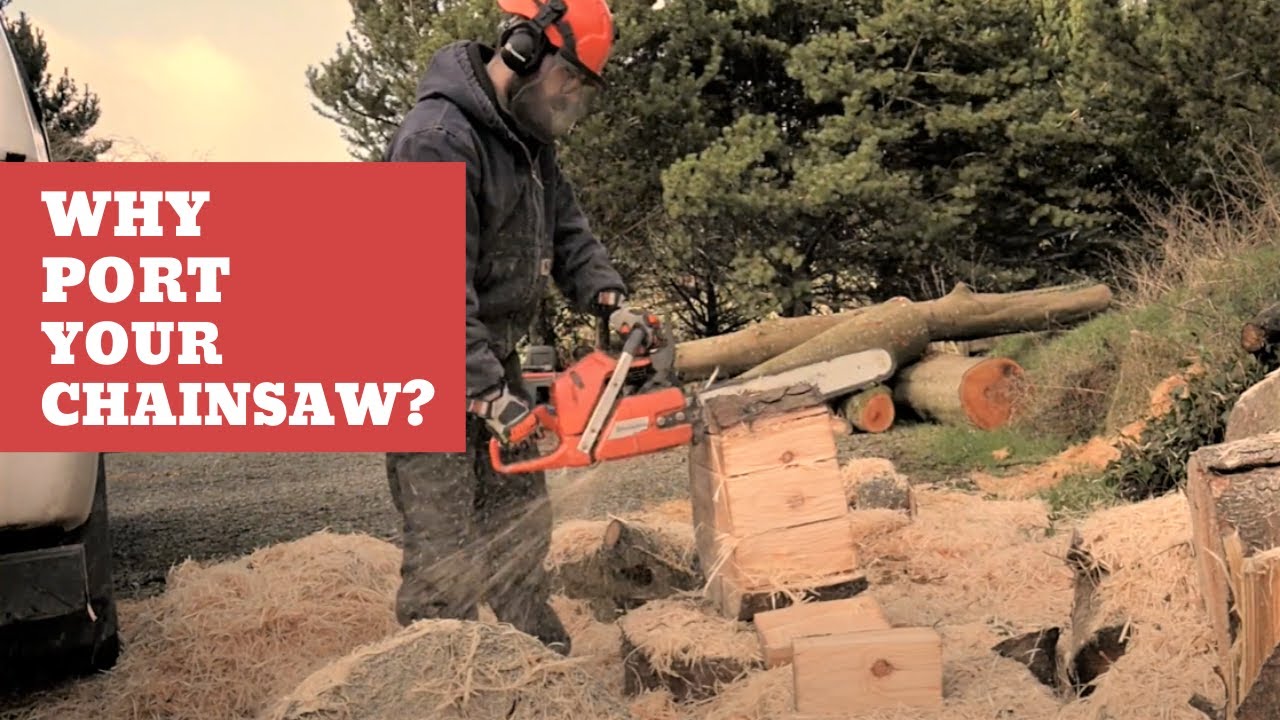 Why Port your Chainsaw? - Husqvarna 365 Review