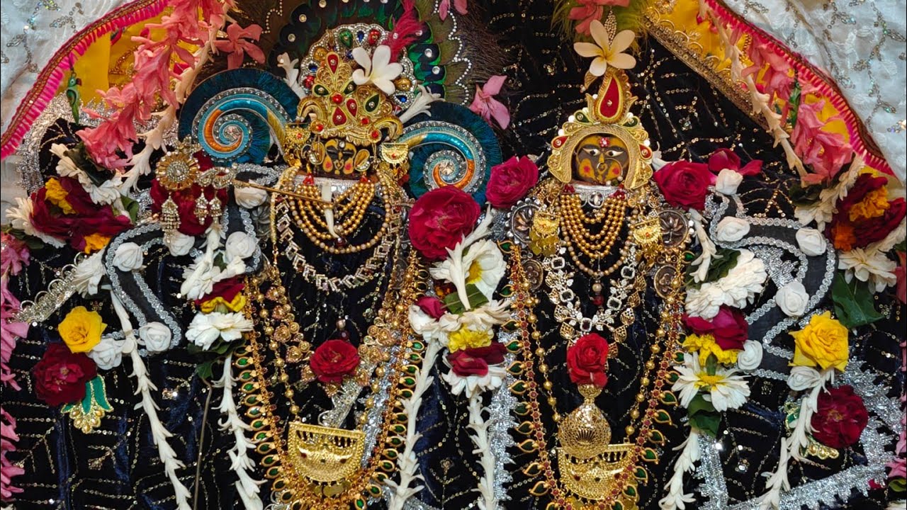 श्री बिहारी बिहारिन होरी उत्सव दिवस ३