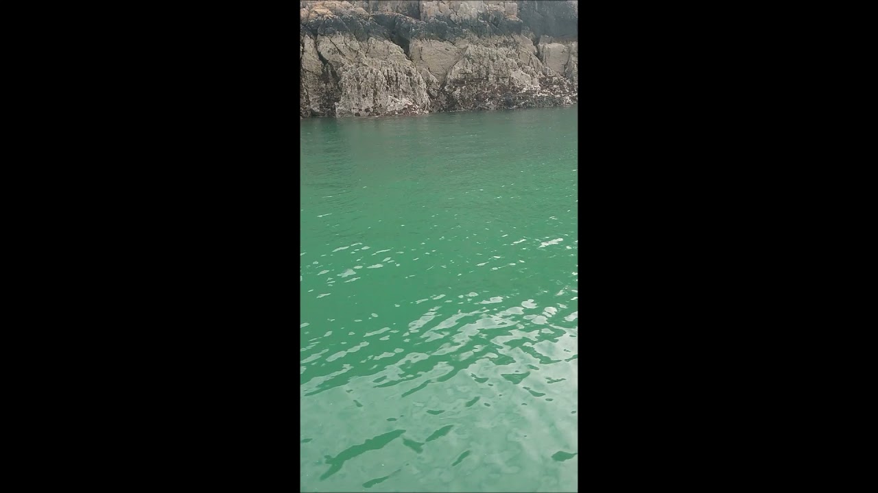 STACKPOLE QUAY AND BARAFUNDLE BAY BEAUITFUL COAST WALES BEST BEACHES