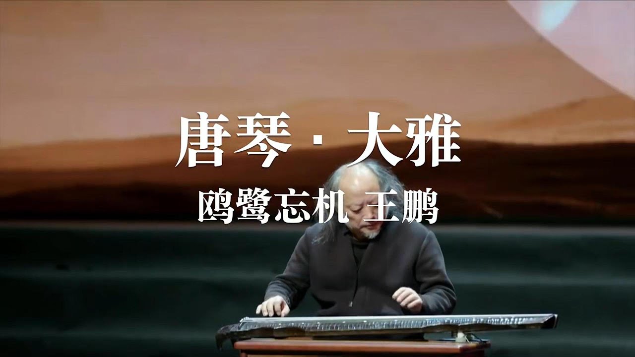古琴大师王鹏《鸥鹭忘机》。#中国 #古琴#音乐会#guqinmusic #China#Concert #Conductor #Symphony#music #chinesemusic