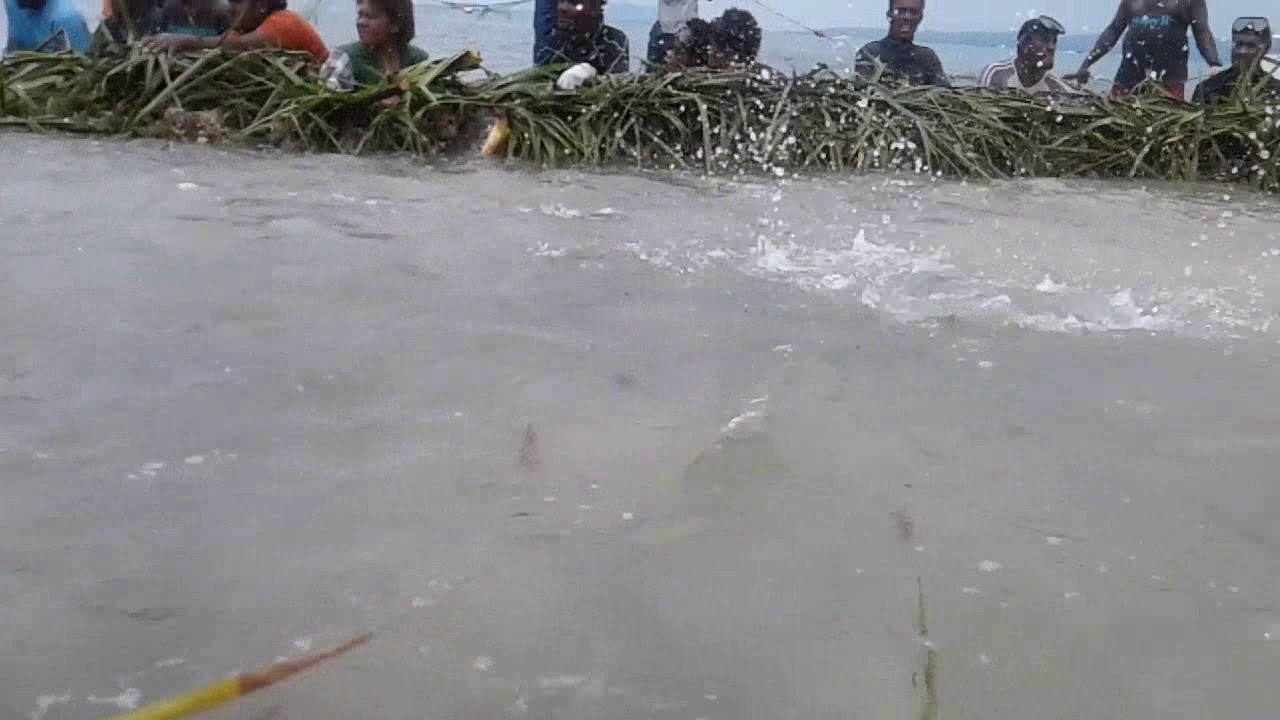 Yavi Rau in Yadua island,Bua 2/2/2018