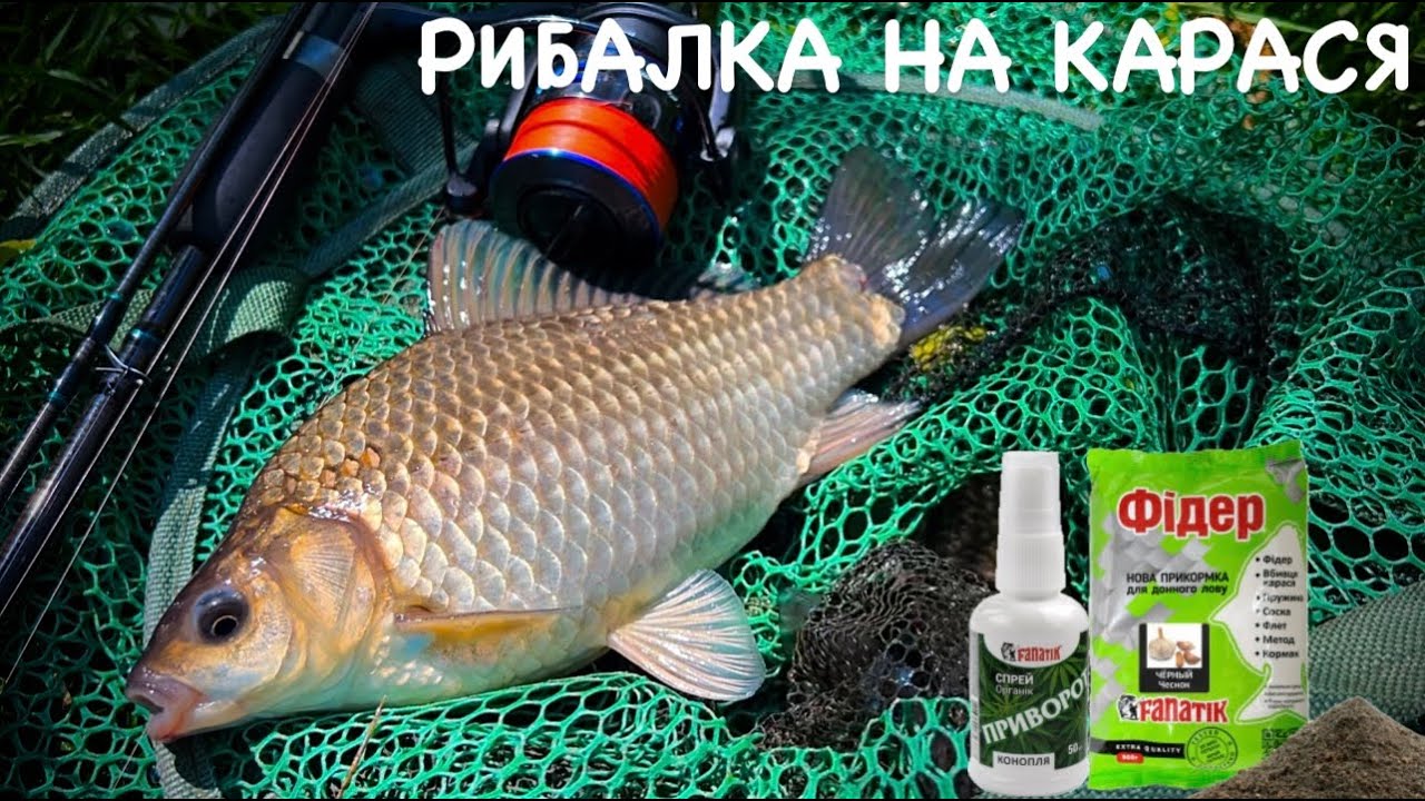 ЛОВЛЯ КАРАСЯ НА ПІКЕР|Flagman Sherman Pro Picker