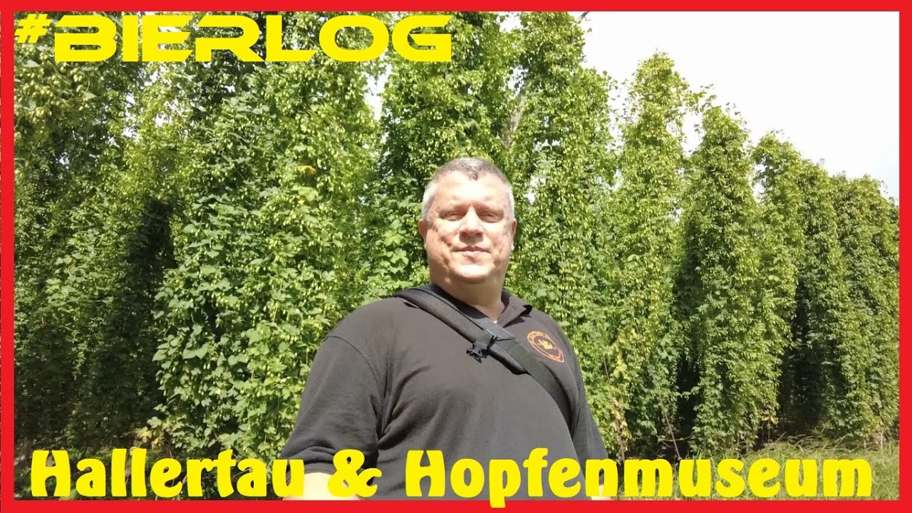 #Bierlog - Trip in die Hallertau - Hopfenmuseum Wolznach & Hopfenernte