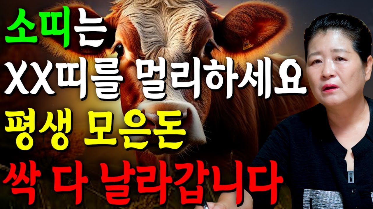[2025년 소띠 평생 운세] 소띠는 XX띠를 가까이하면 평생 모은돈 싹 다 날라갑니 / 돈과 복을 가져다주는 띠는?! 61년생 73년생 85년생 97년생 소띠 운세