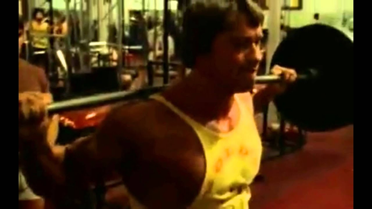 Arnold Schwarzenegger [Who do you want to be?]