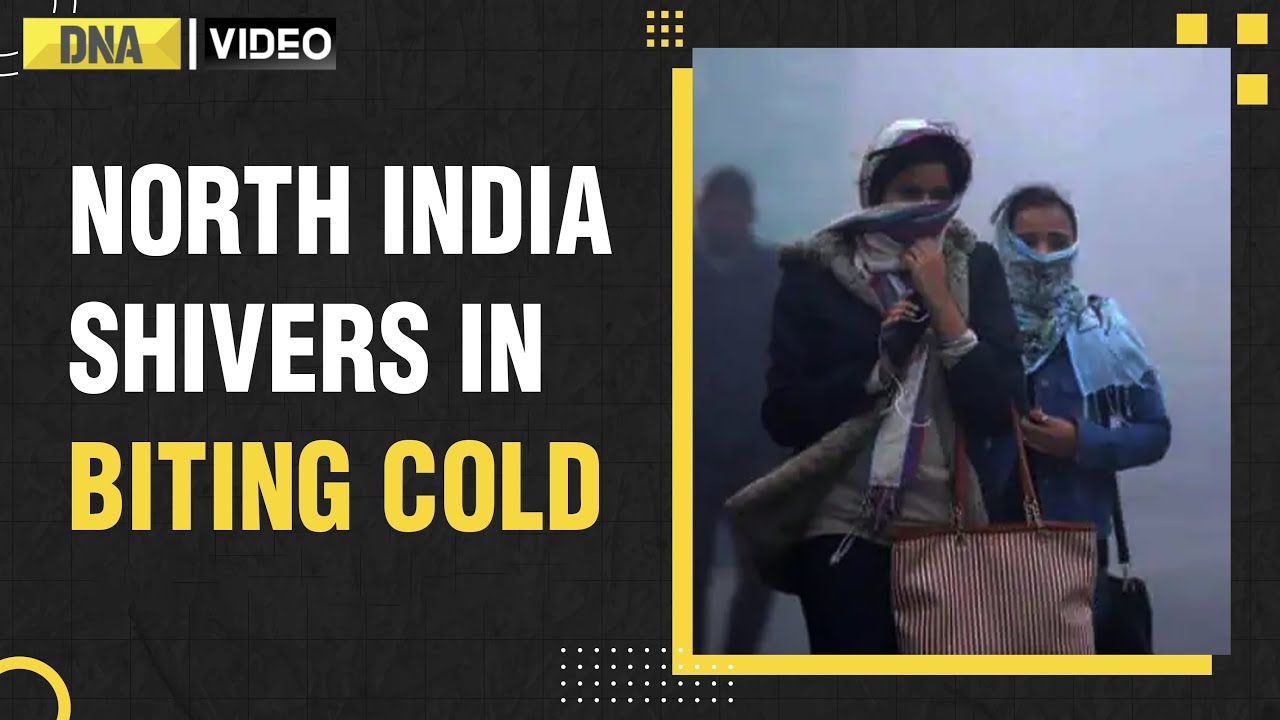 Weather Update: Cold wave chaos continues in North India, red alert issued for fog in Delhi | IMD