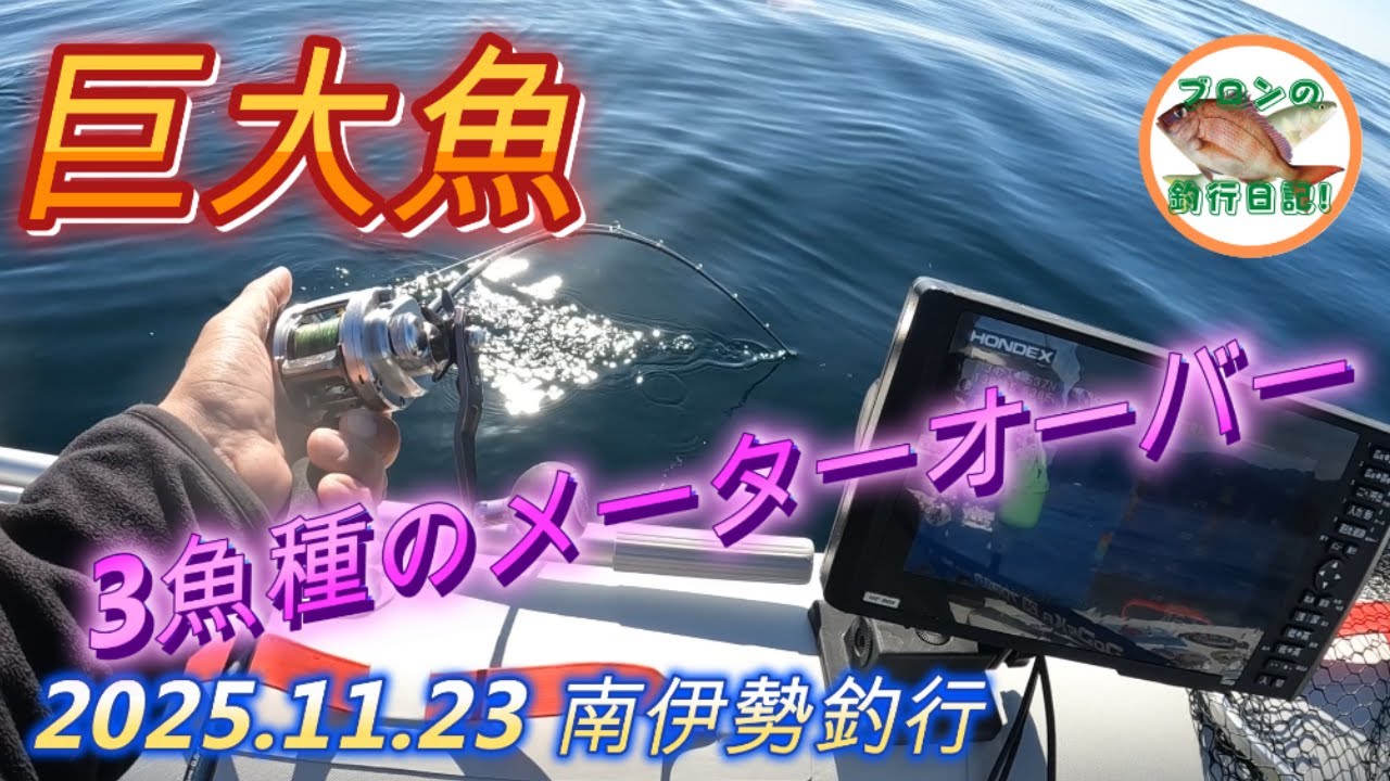 2025.11.23 南伊勢 メーターオーバー3連発
