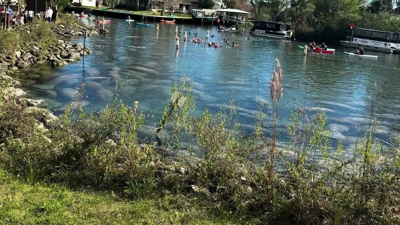 Three Sisters Springs