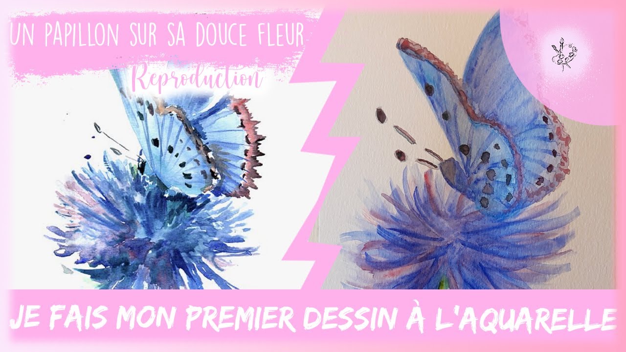 Un papillon sur sa douce fleur (#reproduction)