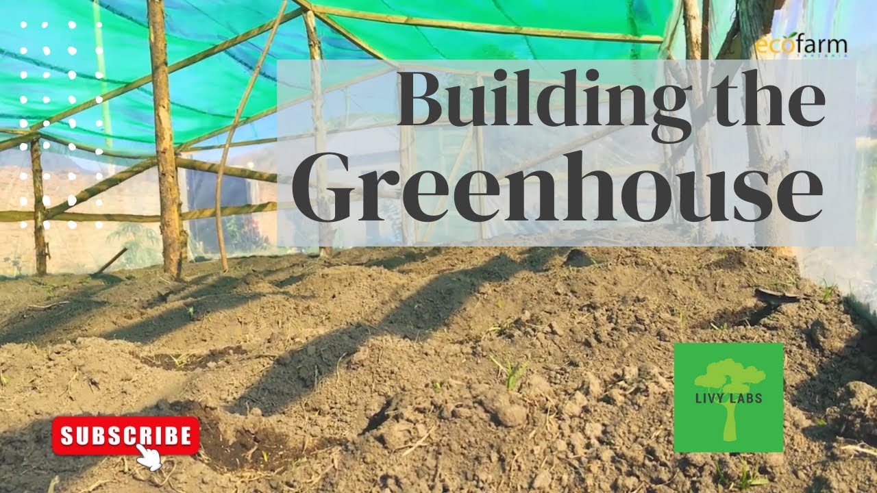 Livy Africa Presents : Livy Labs - Greenhouse construction