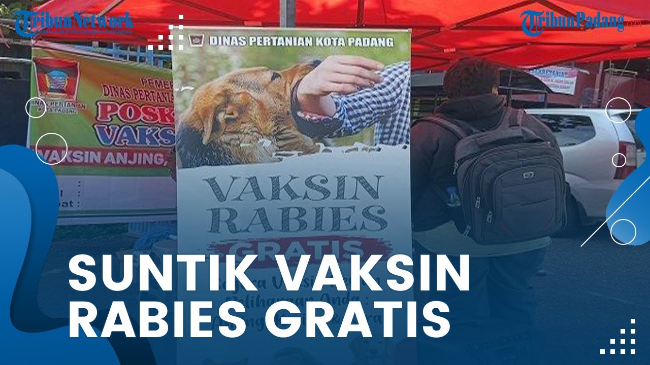 Pasca Kejadian Anjing Gigit Warga, Dinas Pertanian Padang Beri Vaksin Gratis bagi Hewan Peliharaan
