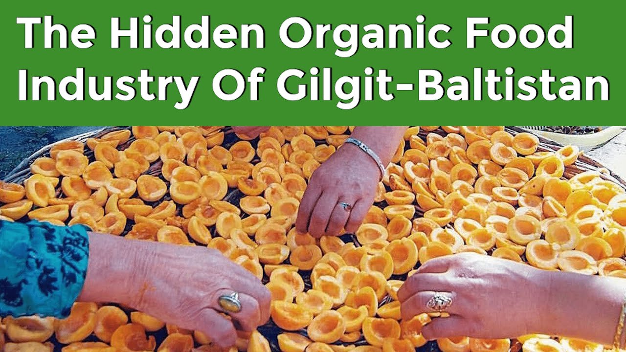 The Hidden Organic Food Industry of Gilgit-Baltistan | Maati TV