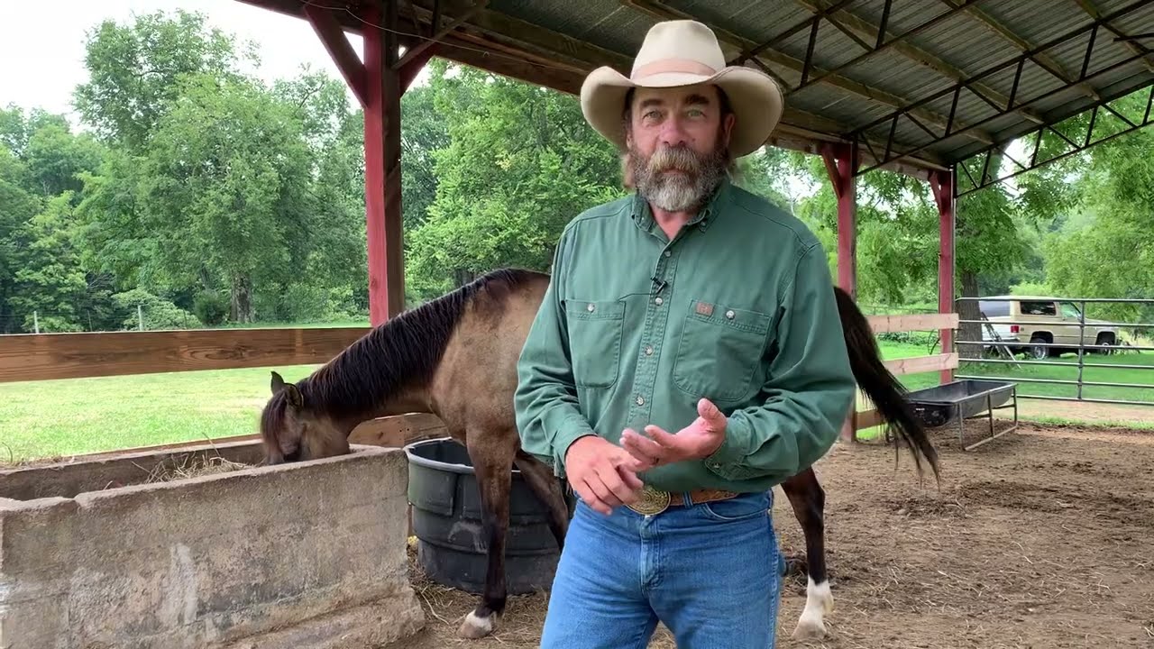 Should I Blanket My Horse In Winter?