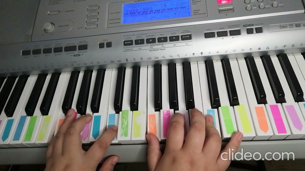 Tutorial La Rosa con el Clavel Acordes Teclado