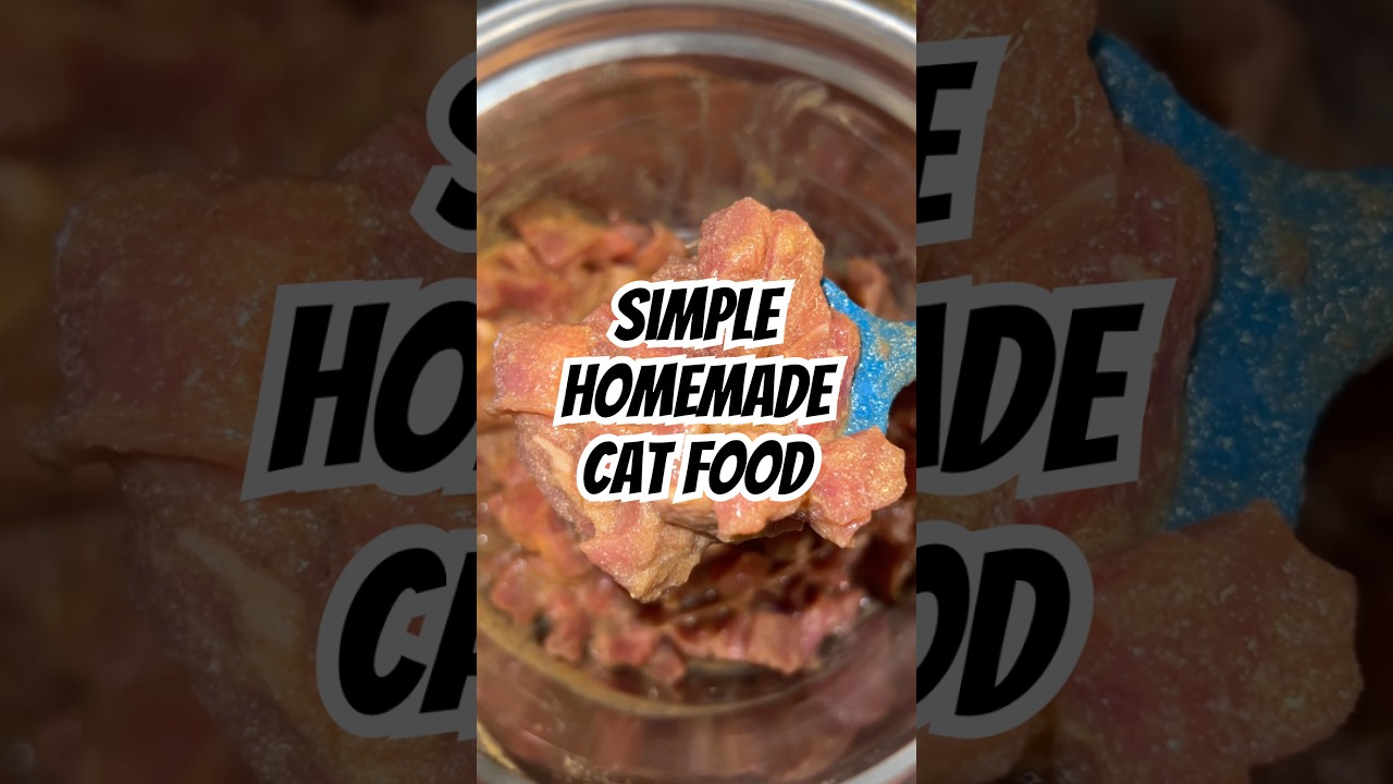 Homemade cat food with only 3 simple ingredients🩷