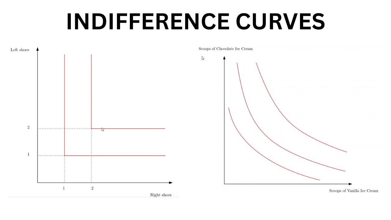 Indifference Curves | Microeconomics