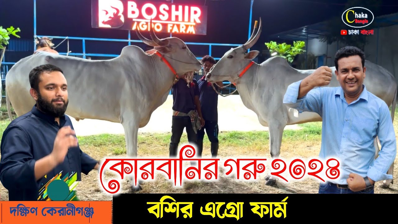 ২০২৪ কোরবানির সুন্দর সুন্দর  কালেকশন দেখে চোখ জুড়িয়ে যাবে! বশির এগ্রো ফার্ম! qurbani cow price