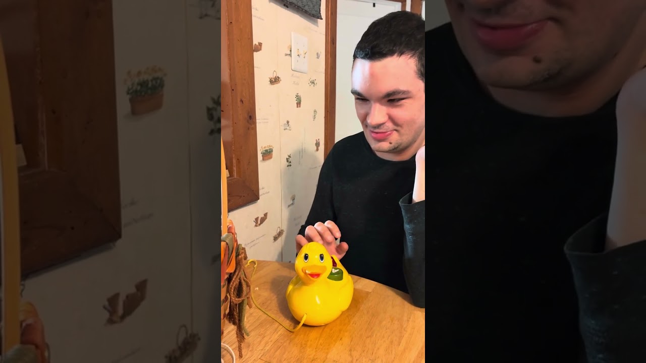 Megcos musical duck