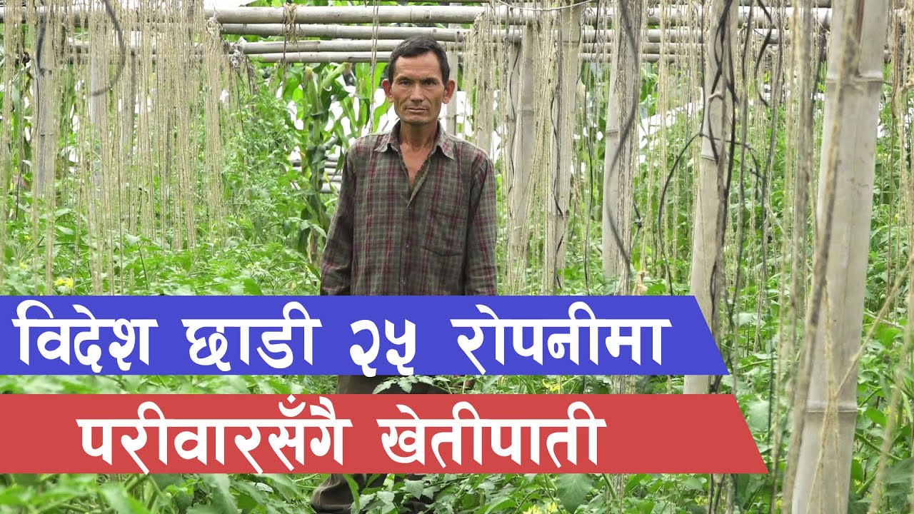 वार्षिक १५ / २० लाख कमाउन विदेश नजाउँ || Agriculture in Nepal ||