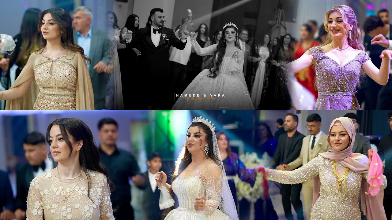 Dilshad Rojava 2025 Hamoude 💍 Yara Part01 - By Ciwan Group 4K دلشاد روج افا رقص شيخاني
