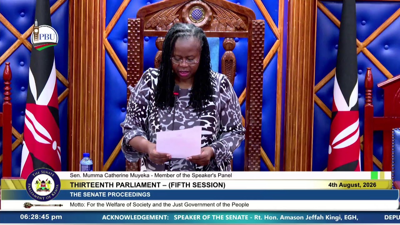 The Senate Plenary, Tuesday  4th August 2026. Afternoon Session