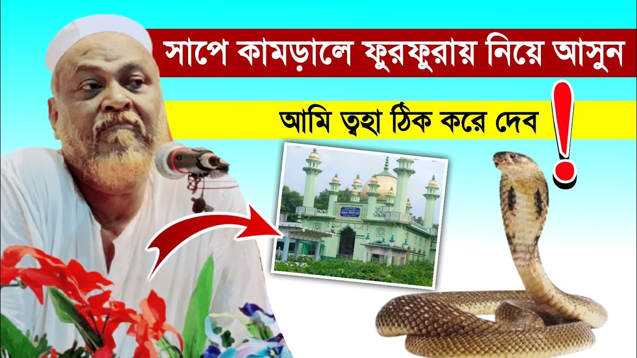 Pirzada toha siddiqui- সাপে কামড়ালে ফুরফুরায় নিয়ে আসুন! কেন এমন বললেন পীরজাদা ত্বহা সিদ্দিকী┇toha