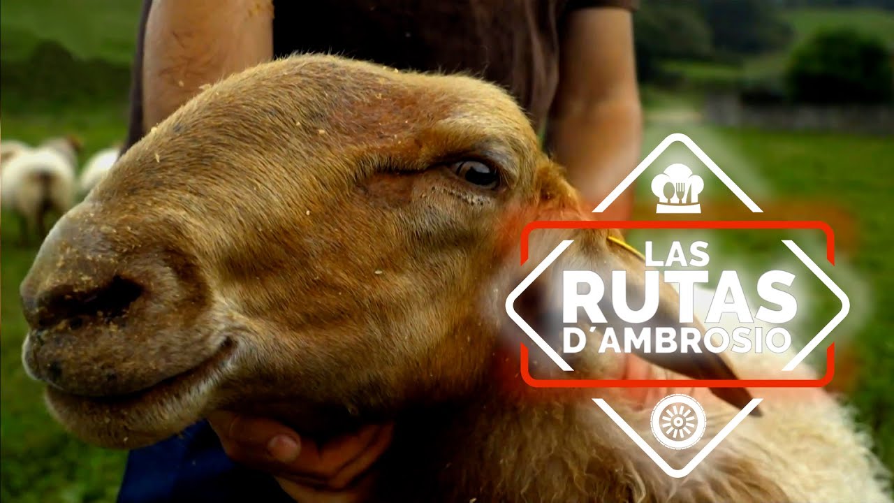 Pasiego - Rutas D’Ambrosio | La2