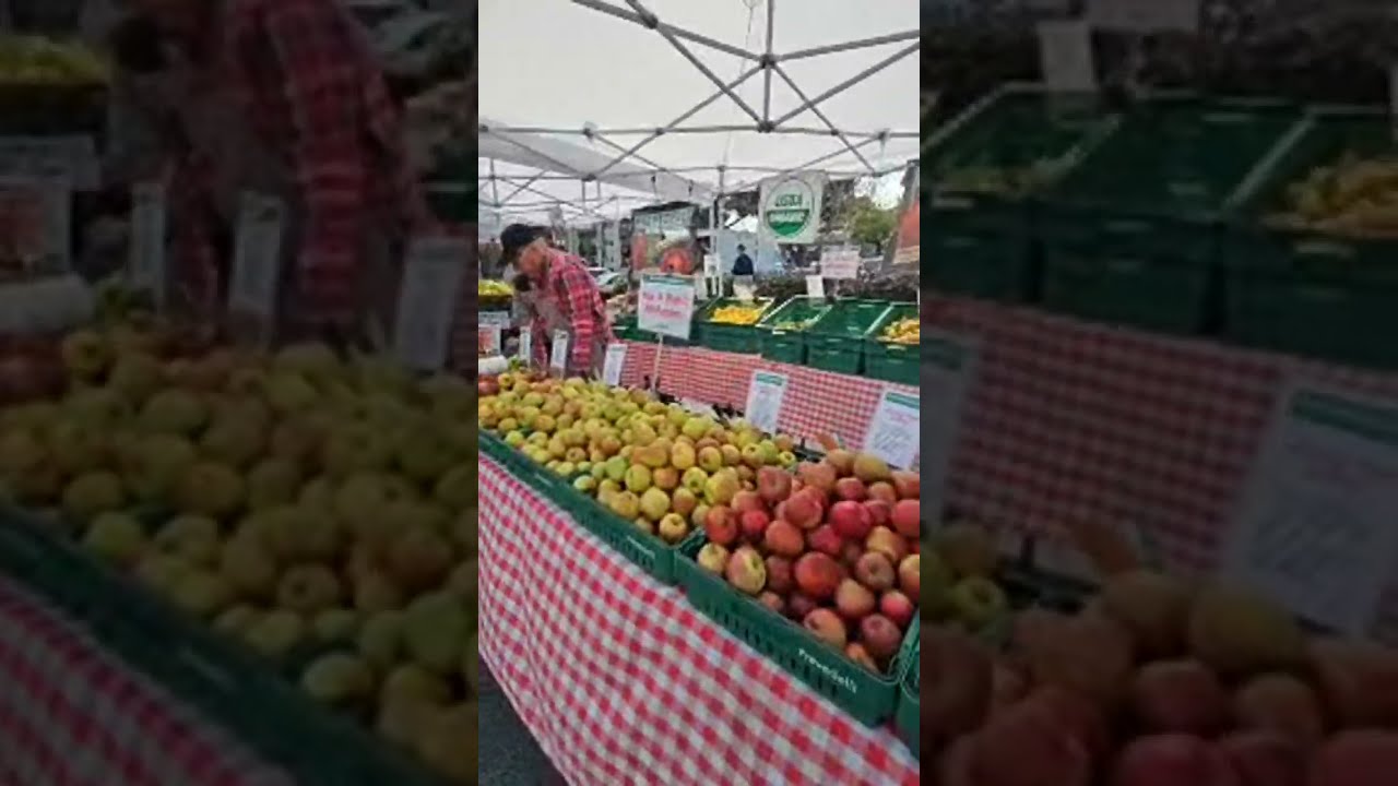 Valentine's Day Farmers market trip#fun #shorts 