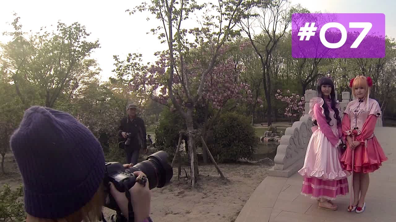 Shanghai Botanical Garden, Sakura, les cerisiers en fleurs