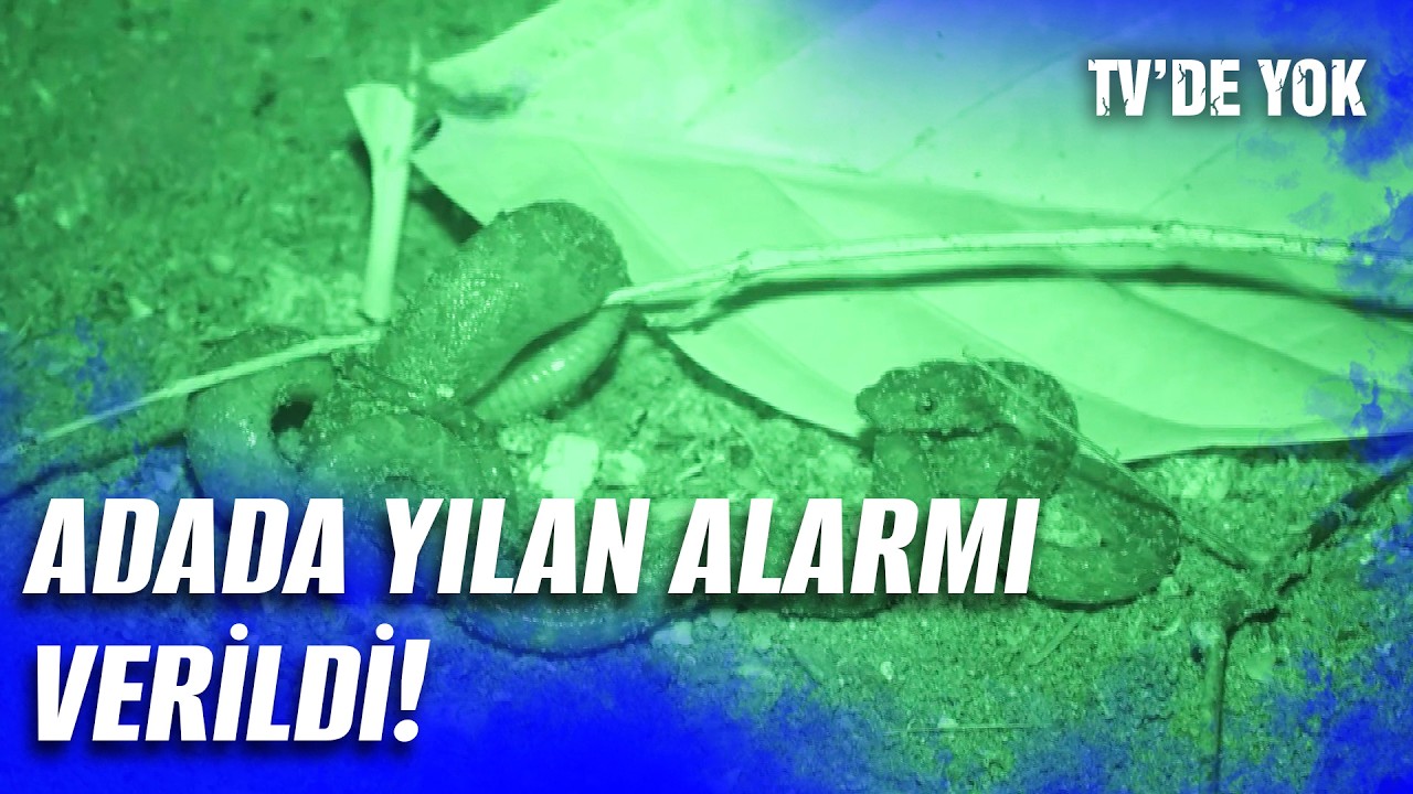 Nagihan'ın Yatağından Yılan Çıktı! | Survivor 2026 5. Hafta 4. Bölüm