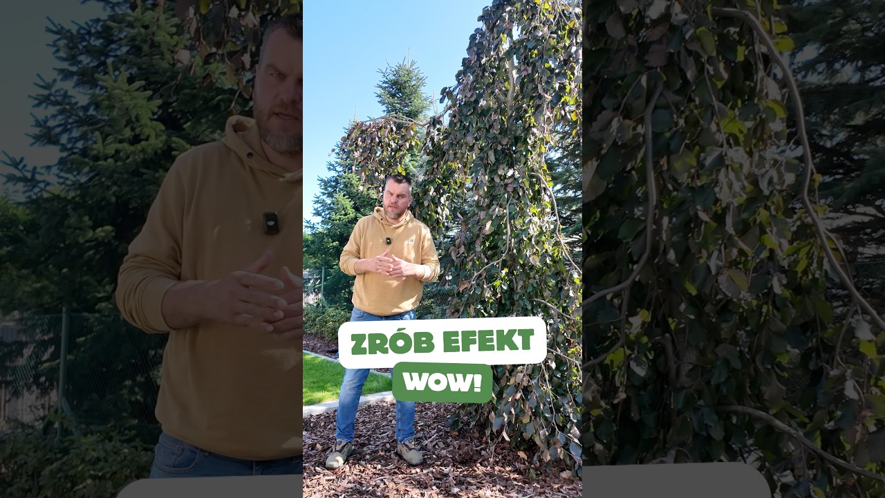 Każdy ogr&oacute;d powinien mieć jedno drzewo, kt&oacute;re robi efekt WOW