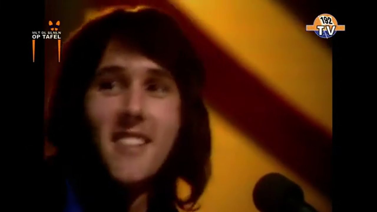 The Tremeloes ‎- Blue Suede Tie  (1972)