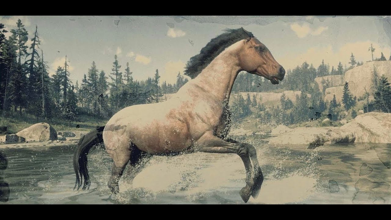 Red Dead Redemption 2: Every Horse - Bay Roan Morgan