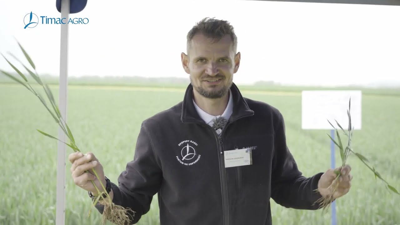 Jakie nawozy zastosować jesienią?