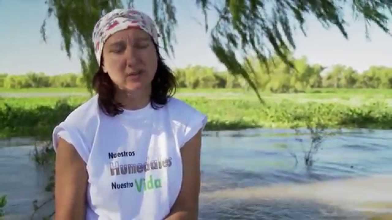 Humedales Tierra de agua - Paraná Biografía de un Río