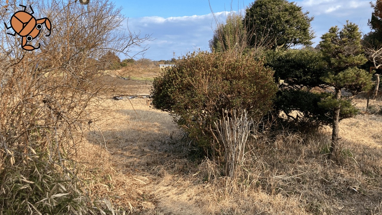 人生うまくいかない時に見てほしい｜ポンコツ人間国宝の話