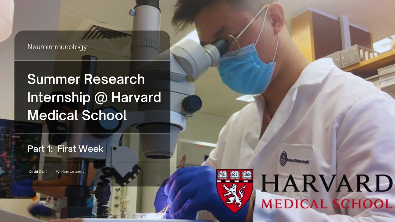 Summer Research Internship: Harvard Medical School